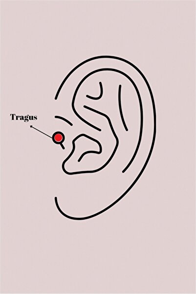 Genel Markalar 316L Çelik Gümüş Renk Zirkon Taşlı Kalp Tragus Piercing