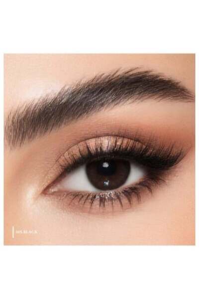 Miss Lens عدسات لاصقة يومية من مس لنس - مس بلاك