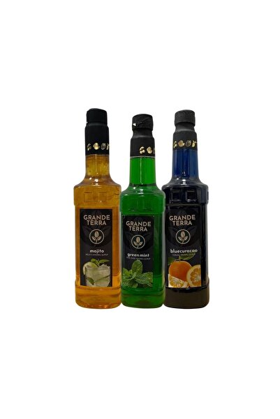 GRANDE TERRA Üçlü Şurup Seti: Mojito, Yeşil Nane ve Blue Curacao (3 x 750 Ml)
