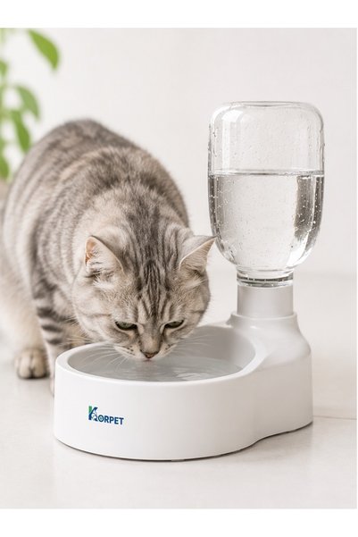 KorPet Kedi Köpek Otomatik Su Haznesi Pet Şişe Uyumlu Su Kabı Kediler İçin Sü...