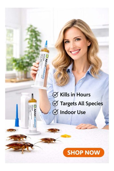Generic Cockroach Gel 2 Tubes | Cockroach Gel Bait 30g (Pack of 2)