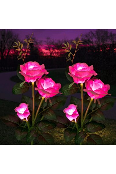 CumparaMisim Set 2 Lămpi Solare Decorative Tip Trandafiri Roz – Iluminare LED...