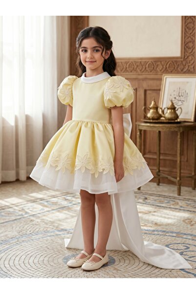 Generic Luxurious Girls' Dress with 3D Floral Embroidery and Back Bow Elegant...