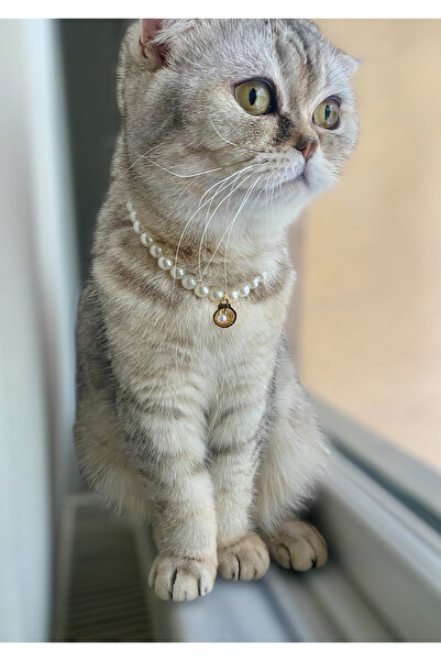 BİJUTERİ EVİ Cat Collar with Pearls – Adjustable, Stylish Cat Neck Necklace