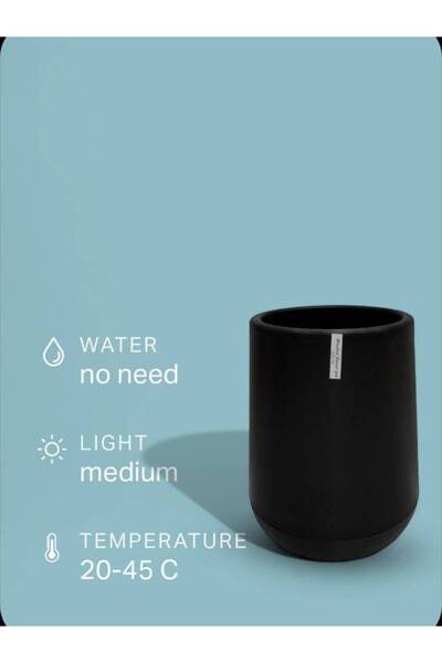 OEMS Plastic Planting Basin