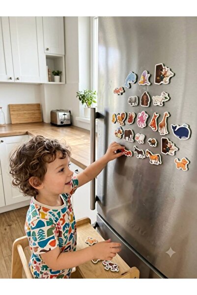 NOVAJOY Manyetik Hayvanlar Eğitici Oyuncak 30 Parça 3+ Yaş Çocuk Magnet Seti