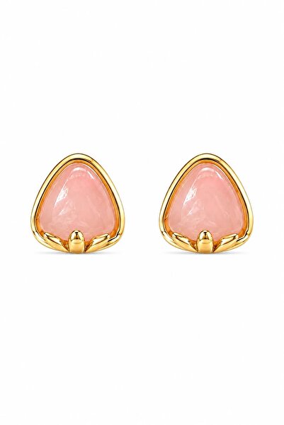 Charmist Steel Berry Earrings