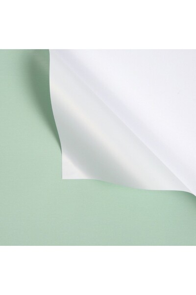 OEM Bicolor Plastic Cellophane White Green 58x58 cm