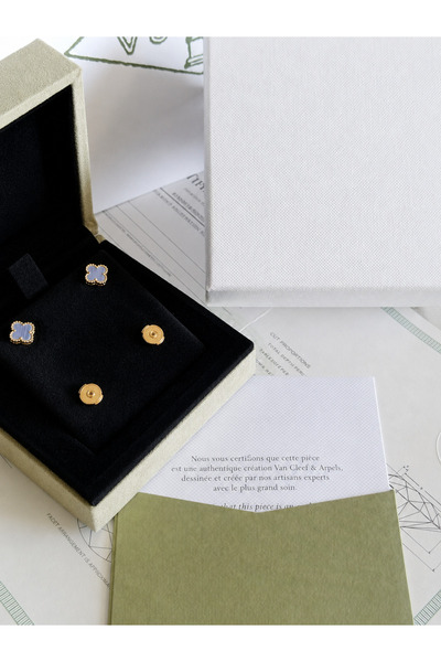 Glamour Galore Luxury Earring with Accessories