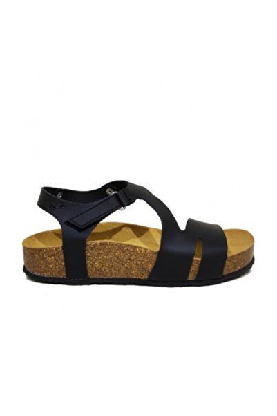 PLAKTON 345647 Apure Negro