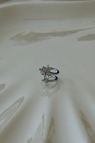 Trendy Butik Steel pole model cartilage earrings