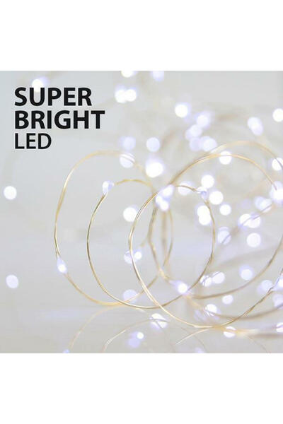 EUROLAMP Φωτάκια 100 μίνι LED Λευκά Υπέρλαμπρα, Ασημί Χάλκινος Μετασχηματιστή...
