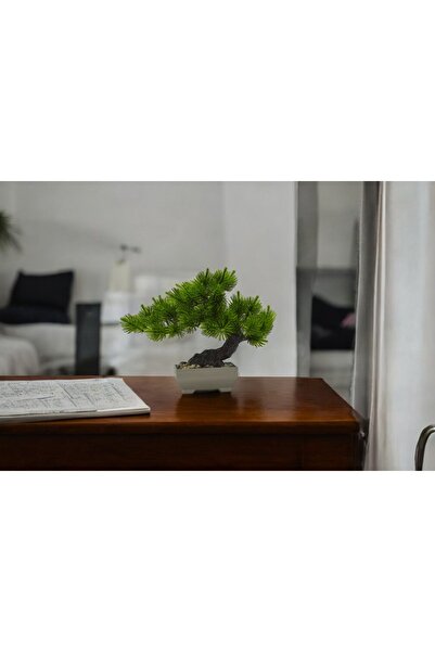NEVVALİFE Bonsai Yapay Çiçek Ağacı Modern Tasarım, Mini Dikdörtgen Saksıda Ta...