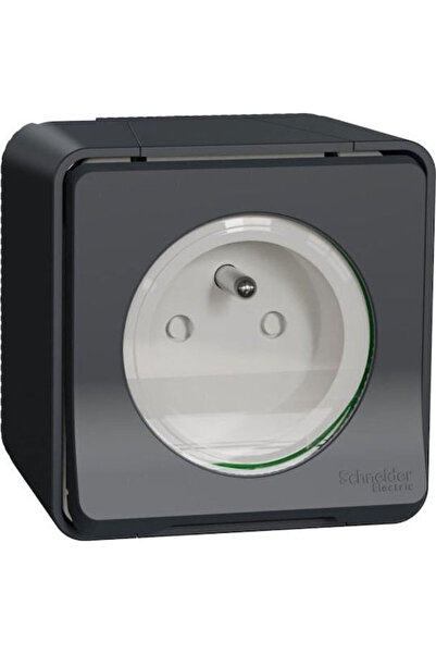 Schneider Electric Priză electrică Mureva Gri 1 buc.