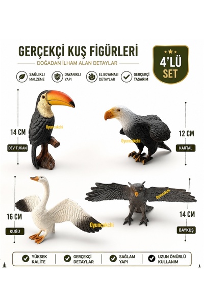 tmtoysandmore Kartal-Baykuş-Dev Tukan Ve Kuğu 4 Model Büyük Boy Kuş Serisi Ka...