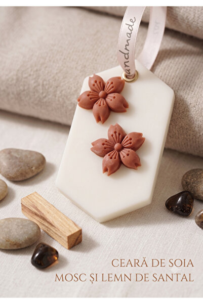 ARÉA Scents Odorizant dulap Mystic Muskwood, Mosc si lemn de santal,Hexagon, ...