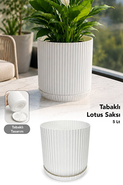 Meleni Home Dekoratif Lotus Saksı - Plastik İç ve Dış Mekan Tabaklı Modern Çi...