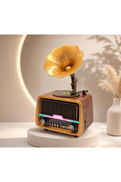Everton RT-601 Gramofon Tasarımlı Nostaljik Radyo Bluetooth Hoparlör Ahşap Gö...