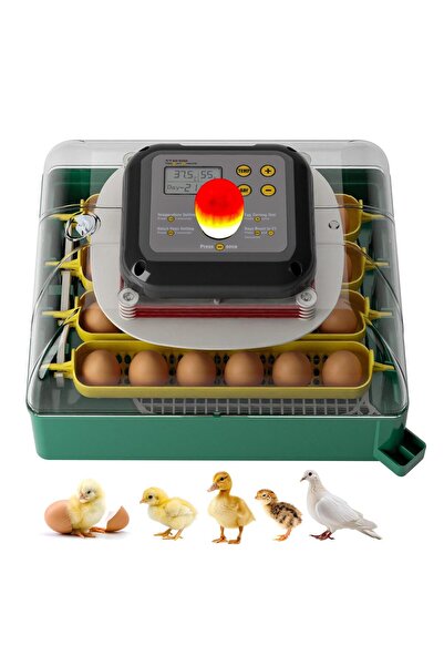 HENİN Incubator automat complet pentru 24 de ouă, cu rată mare de eclozare, î...