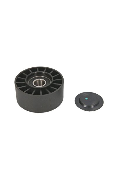 BTA Rola intinzator,curea accesorii Fendt 307 a Farmer 307 C Farmer 307 C Tur...
