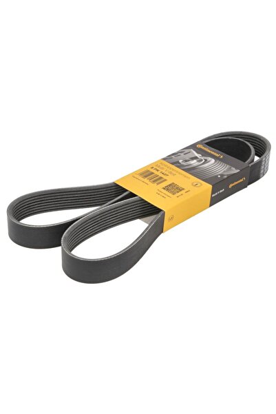 CONTITECH Curea Accesorii cu Caneluri 8 PK 1427 MERCEDES-BENZ ATEGO 917 KO/VA...