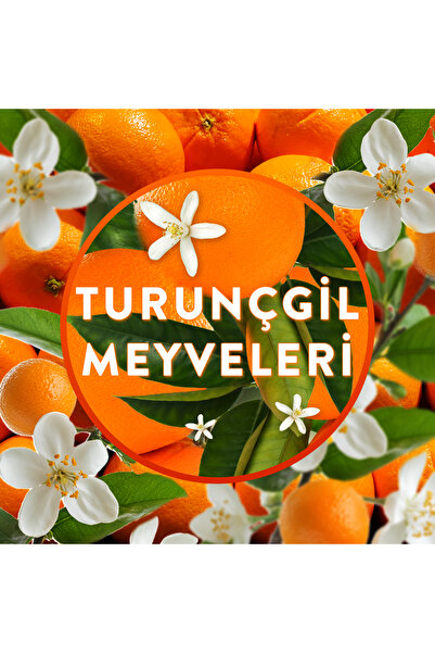 Air Wick Oda Kokusu Freshmatic Yedek Sprey Turunçgil Meyveleri, 250ml