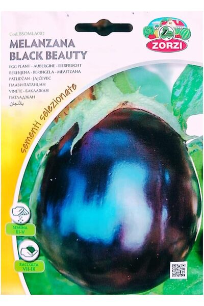 Generic Eggplant Seeds 5 pact