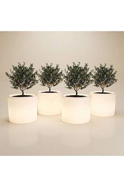 MYASEM STORE Set of 4 Lora Led Grow Light Indoor/Outdoor Plant Growing Boxes ...