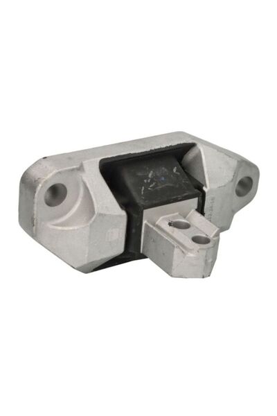 REINHOCH Suport motor RH11-4080