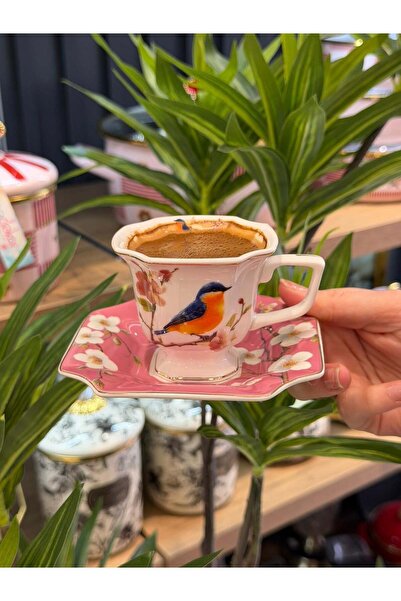 Onedekor 6 Kişilik Porselen Lavin Bird Pink Kahve Fincanı