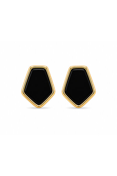 Venus Design Steel Asle Earrings