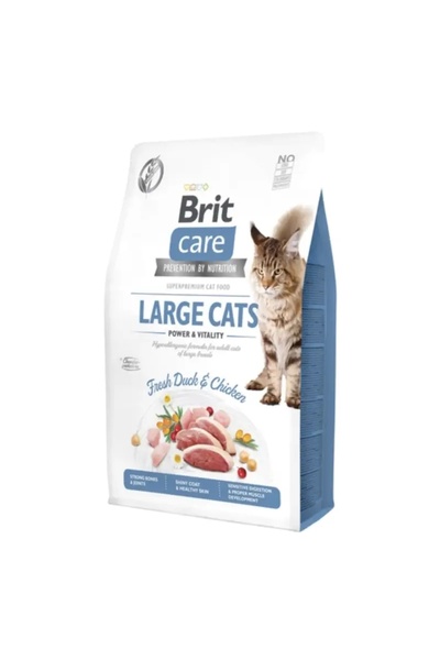 NO BRAND Hrană pentru pisici BRIT Power & Vitality Rață și Pui Proaspăt 7 kg