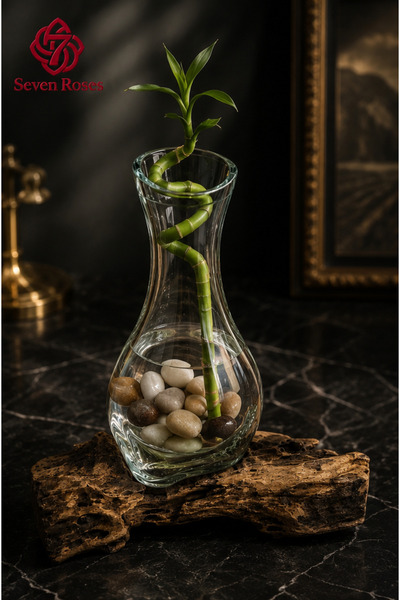 Generic Curved Glass Saffron Vase |   Fantasy-Shaped Decorative Piece