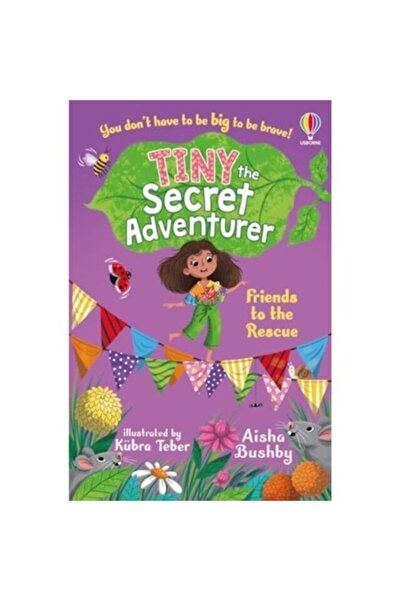 Usborne Tiny The Secret Adventurer: Friends To The Rescue - Aisha Bushby