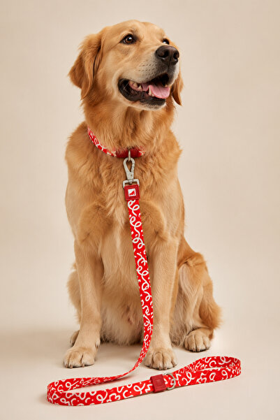 GOBYPET Köpekler İçin Dayanıklı Ve Güvenli, Desenli Gezdirme Tasması ( 25mm )