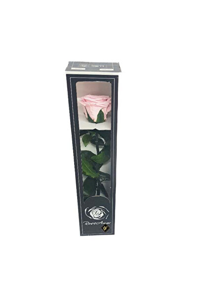 velve Trandafir Criogenat cu tija, 30 cm, Roz