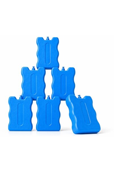 SHOPIENS Set de 6 acumulatoare de frig albastre de 220 ml, tampoane de răcire...