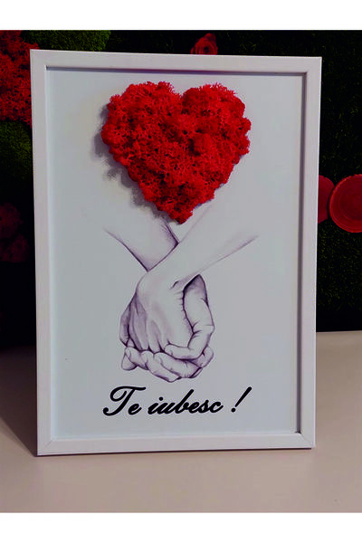 Generic Brand Tablou Decorativ cu Licheni Roșii în Formă de Inimă - Cadou Rom...