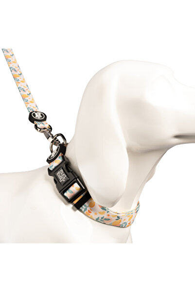 Bud & Billy Citrus Bloom Dog Collar