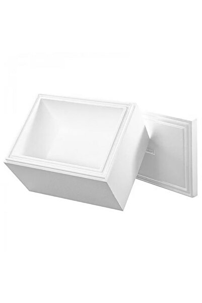 INATECH Cutie Termoizolanta EPS, 565x440x370 mm, Grosime Perete 50 mm, Volum ...