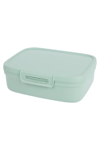 Evendi Recipient alimentar, Verde