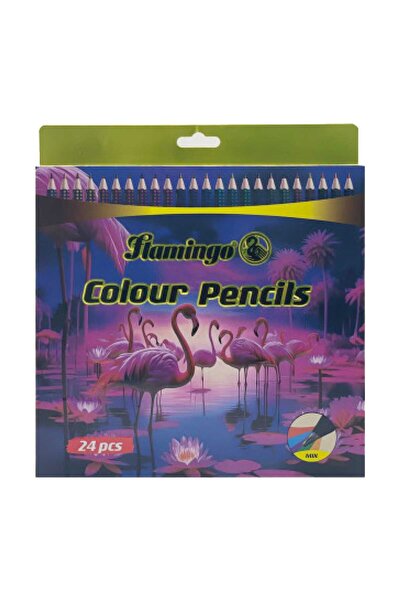 Flamingo Jumbo Colour Pencils – 24 Vibrant Shades – Smooth Coloring – Pack of...