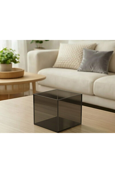 Trend Pleksi Multi-Purpose Transparent Smoked Plexiglass Box (15cm X 15cm X 1...