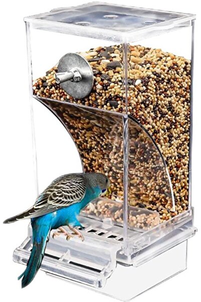 STARSTAR - Bird feeder Splash-proof - Automatic