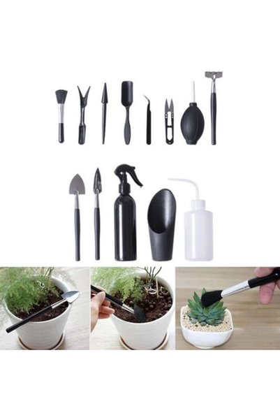 Morvena Picks Kit de instrumente de grădinărit pentru mini suculente și plant...