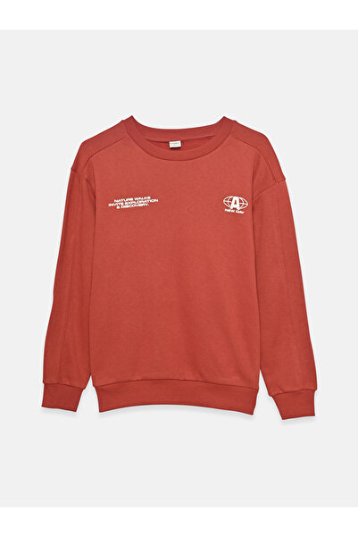 LC Waikiki Crew Neck Boys' Sweatshirt