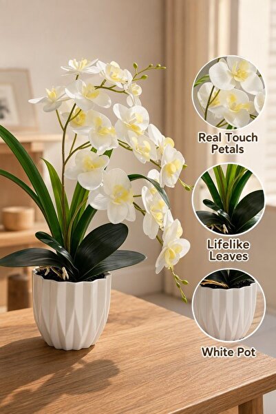 Generic 1 Plastic Lifelike Artificial Orchid Flower Potted Plant Home Office ...