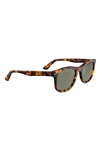 Serengeti Glasses