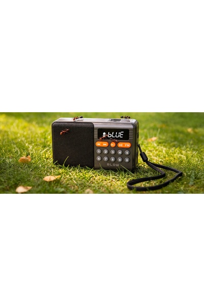Blow KUCHENNE MINI RADIO PORTABIL FM BLUETOOTH DIFUZOR CU BATERIE USB INTEGRATĂ