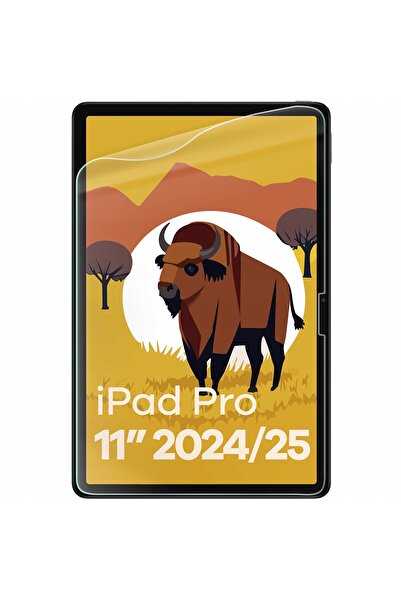 NO BRAND Folie tip hârtie Bison pentru tabletă iPad Pro 11 " 2025/2024, 2 bucăți
